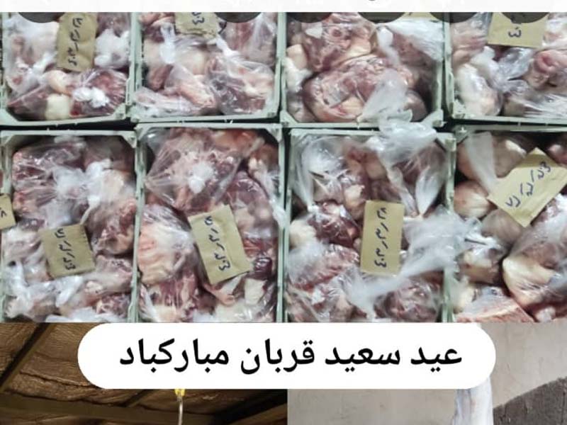 قربانی ۶ رأس گوسفند به مناسبت عید سعید قربان 